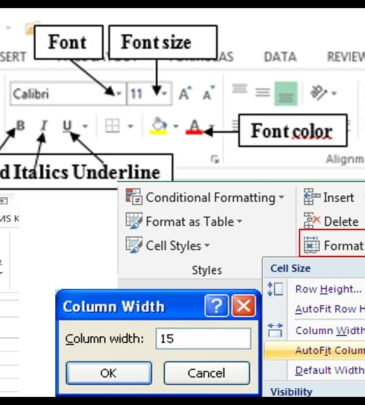 Inserting and Formatting Text in Microsoft Word