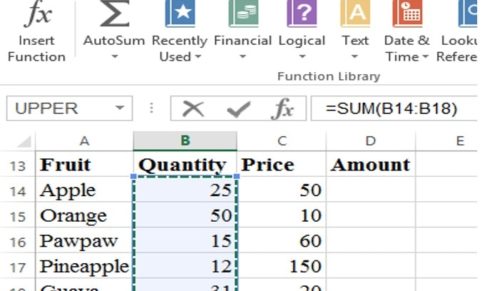 Microsoft Excel Spreadsheet Application 2