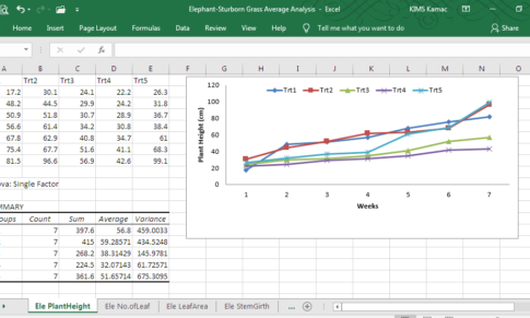 Data Entry: Working with Microsoft Excel in a Production Environment