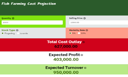 Business Calculator: How to