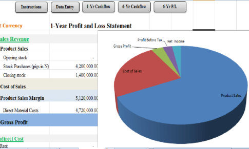 Cash Flow Statement Template: Pig Farming Business