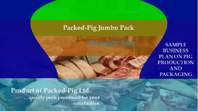 pig production - free sample business plan