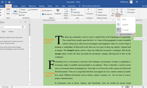 Inserting and Formatting Text in Word Document