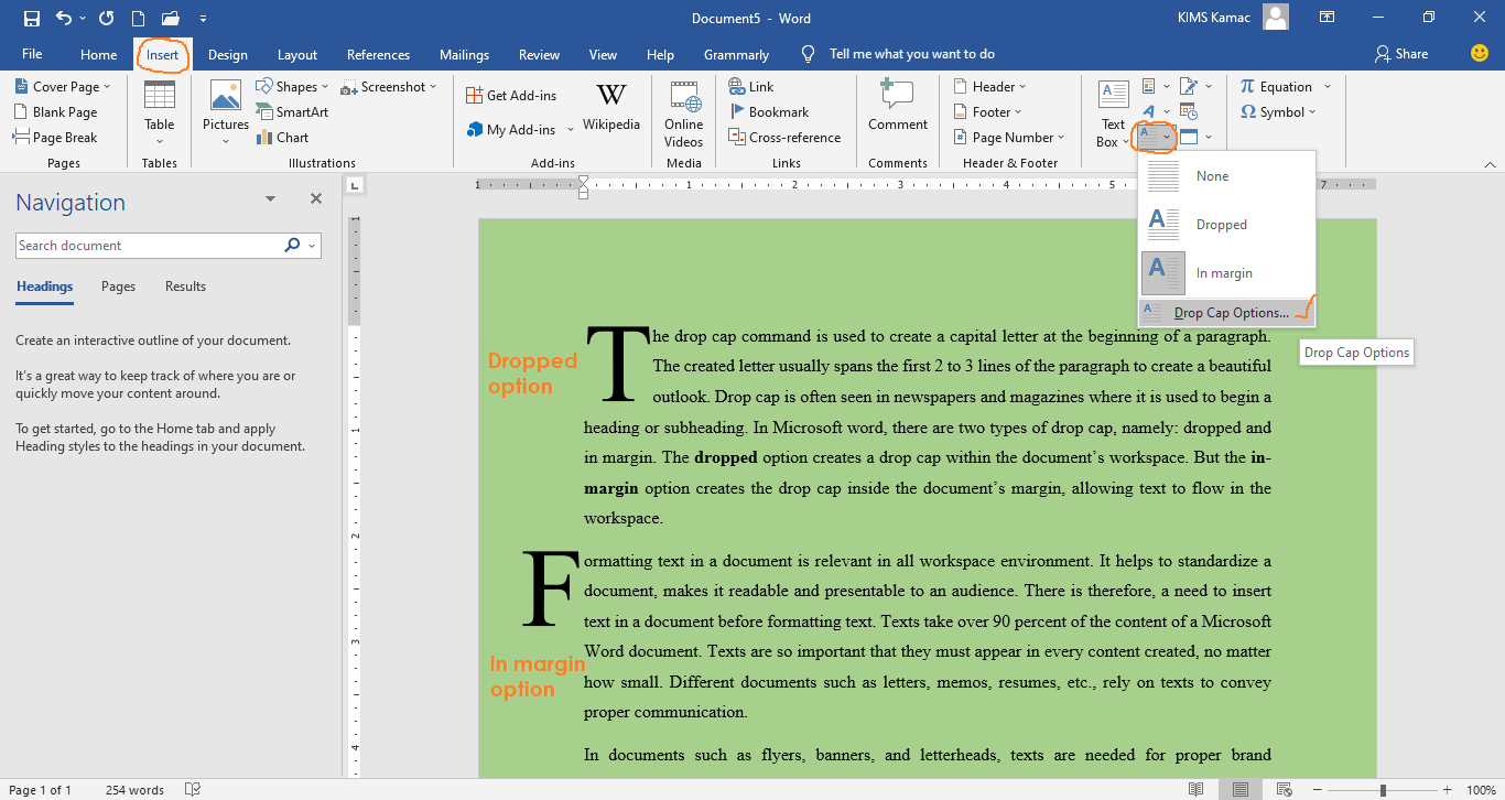 Inserting And Formatting Text In Word Document Kmacims Education Annex 5888