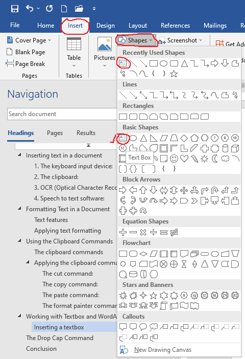 Using manual text box to insert text