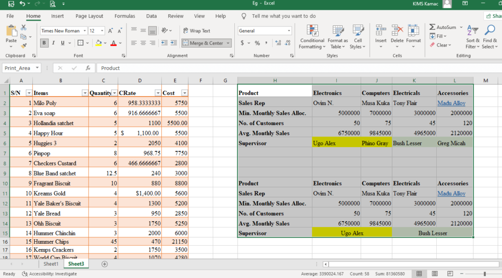 worksheet in excel