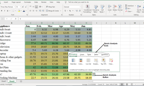 Conditional formatting in Excel: Uses and Applications