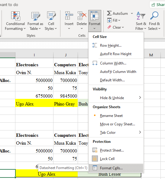 cell formatting with number formats