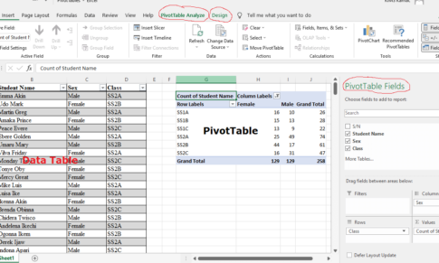 How to use PivotTable in Excel 2016