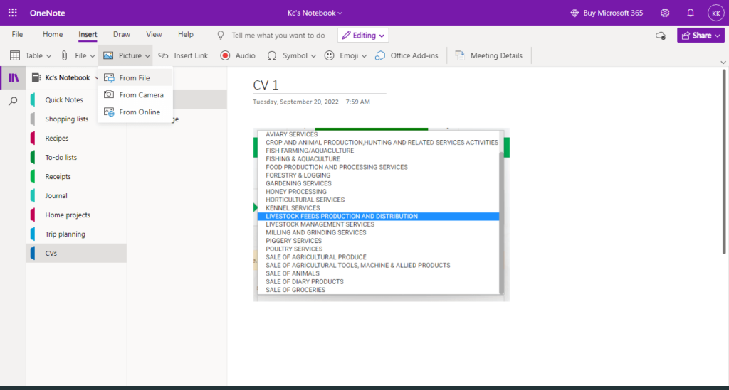 How does OCR work: using one Note to extract data