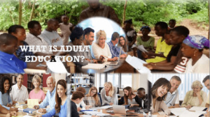 what is adult education - Nigerian education system