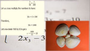 what is proportion of two numbers: proportionality