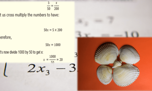 Proportionality: What is Proportion of Two Numbers?