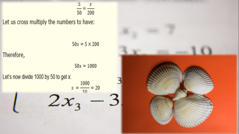 what is proportion of two numbers: proportionality